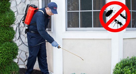 Çobanlar Karınca İlaçlama böcek ilaçlama ve haşere kontrolü — ilaclama-tr.com